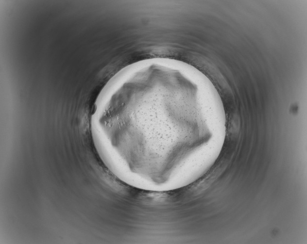 X0000097640478200803211836