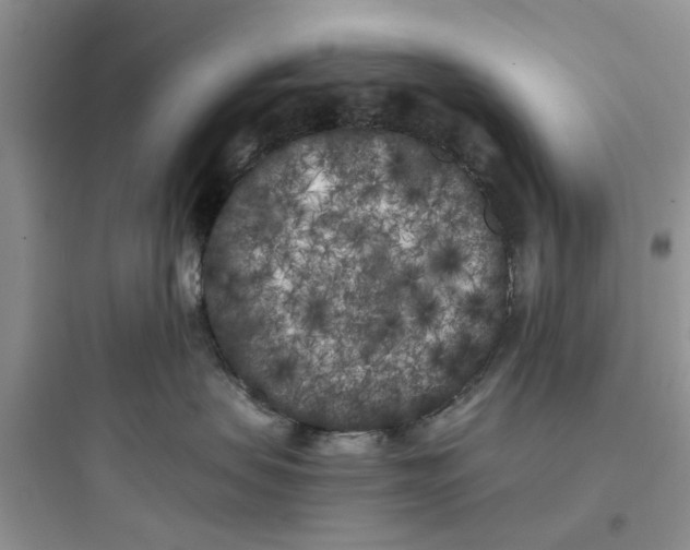 X0000097640479200803211836