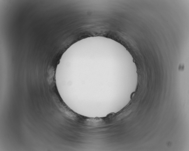 X0000097640480200803211836