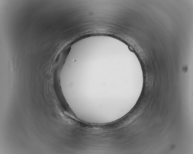 X0000097640481200803211836