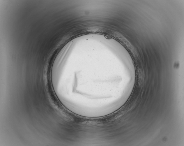 X0000097640482200803211836