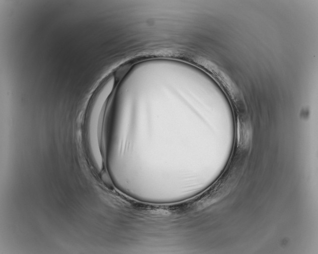 X0000097640483200803211836