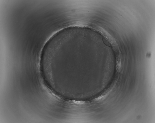 X0000097640484200803211836