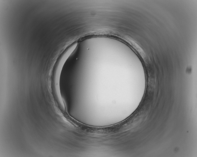 X0000097640485200803211836