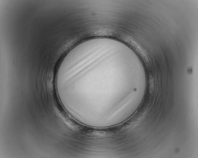 X0000097640490200803211836