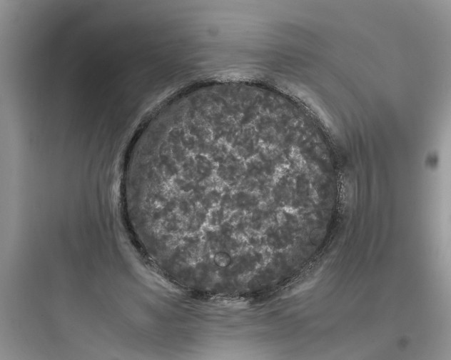 X0000097640491200803211835