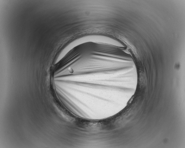 X0000097640493200803211835