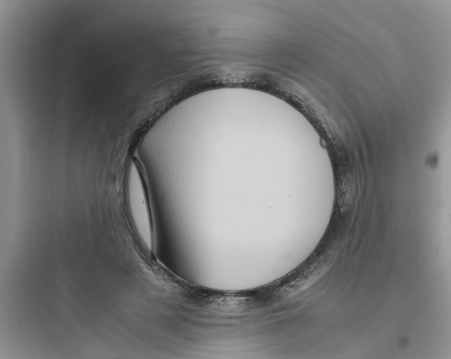 X0000097640497200803211835