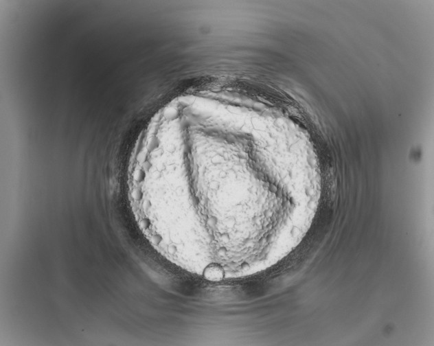 X0000097640499200803211835