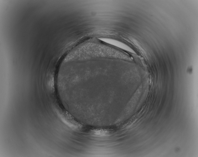 X0000097640500200803211835