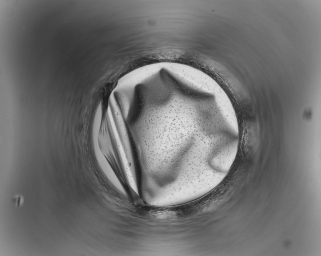 X0000097640501200803211835