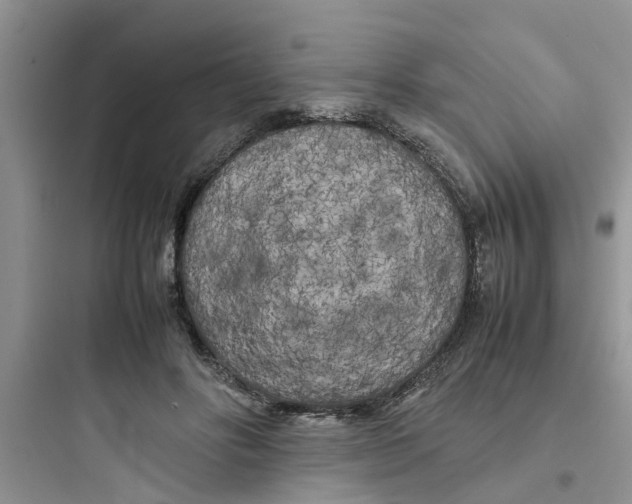 X0000097640502200803211835