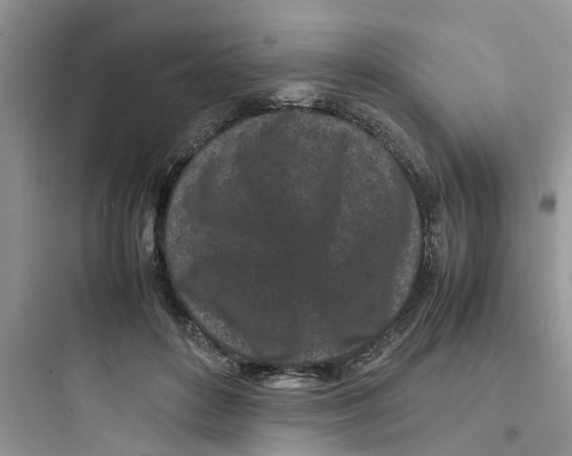 X0000097640504200803211835