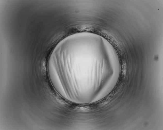 X0000097640506200803211835