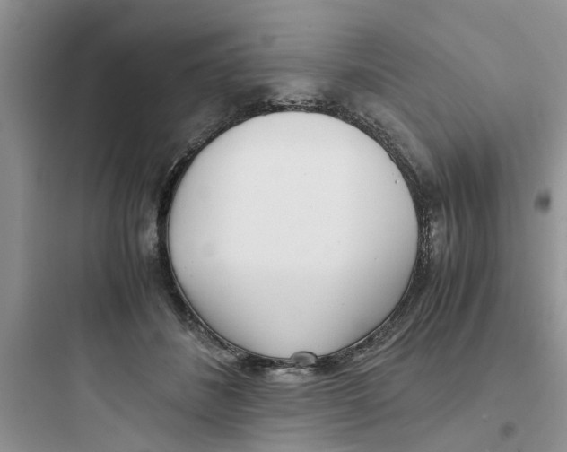 X0000097640508200803211835