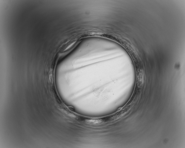 X0000097640511200803211835