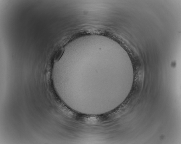 X0000097640513200803211835