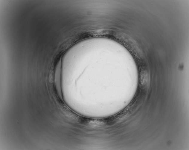 X0000097640515200803211835