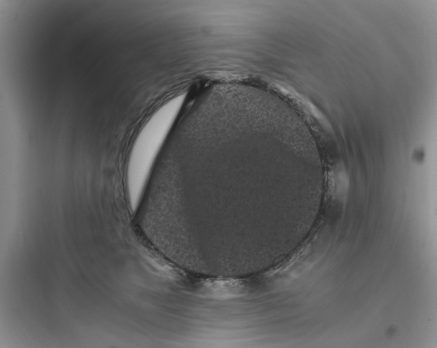 X0000097640517200803211835