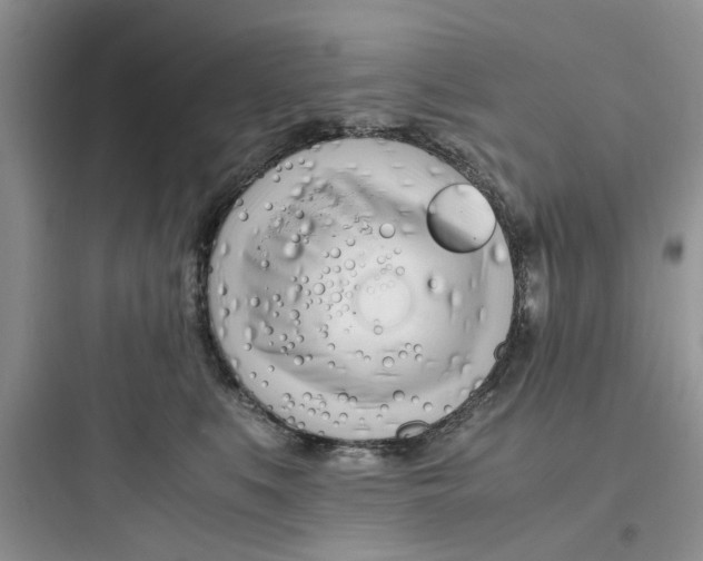 X0000097640519200803211835