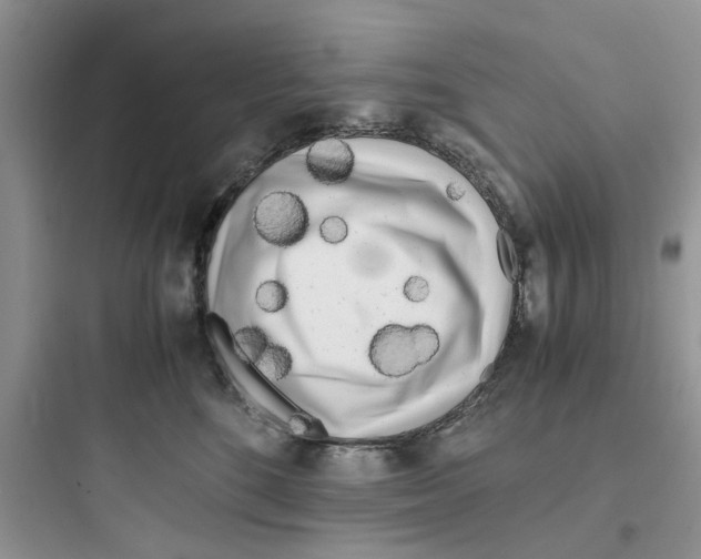 X0000097640520200803211835