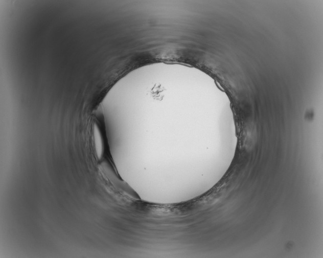 X0000097640521200803211835