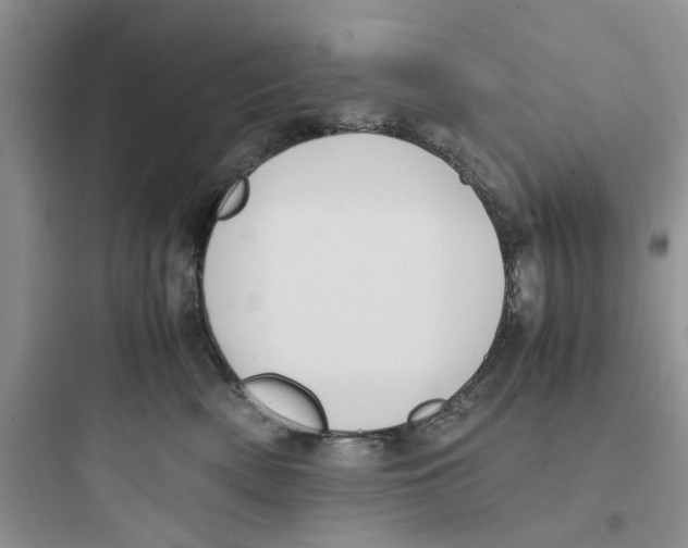 X0000097640522200803211835