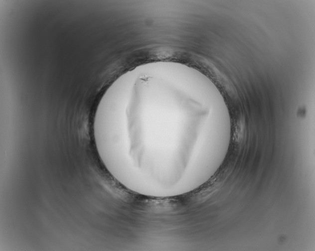 X0000097640524200803211835