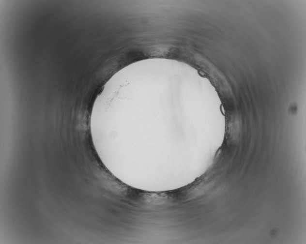 X0000097640525200803211835