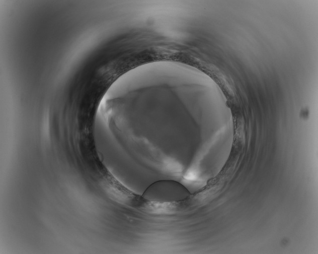 X0000097640526200803211835