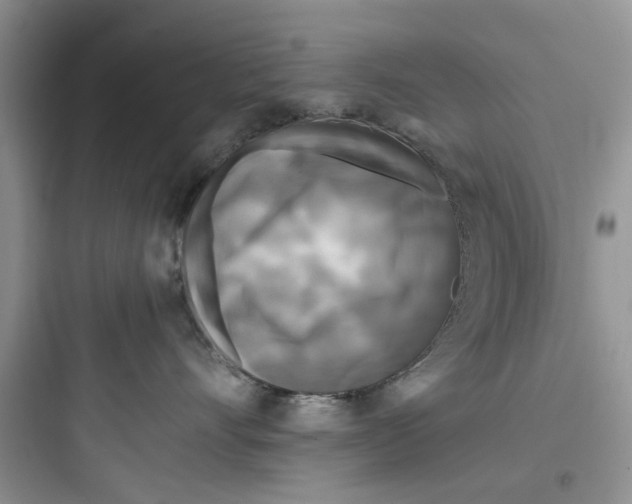 X0000097640528200803211835