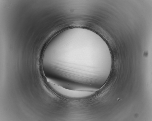 X0000097640530200803211834