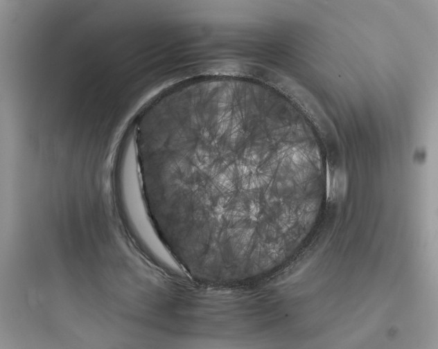 X0000097640531200803211834