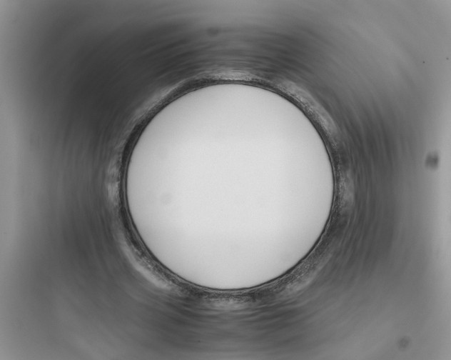 X0000097640533200803211834