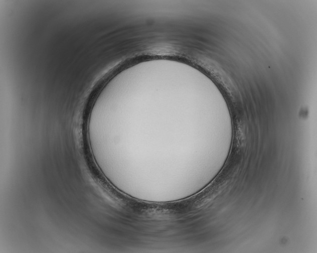 X0000097640535200803211834