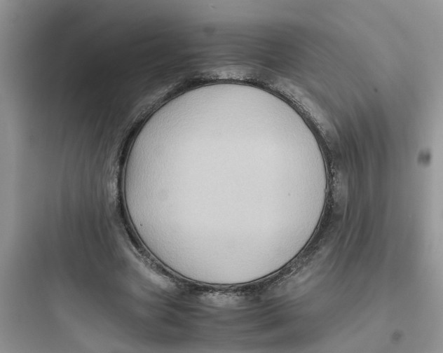 X0000097640537200803211834