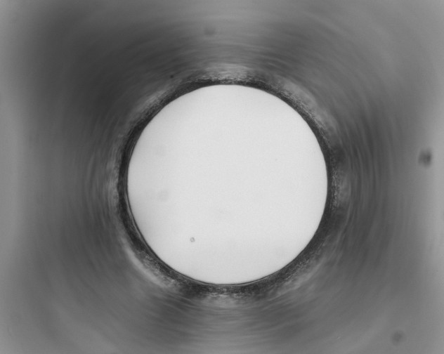 X0000097640538200803211834