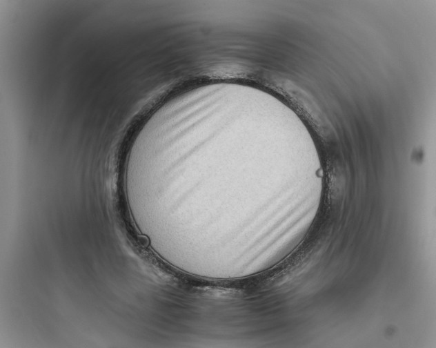 X0000097640539200803211834