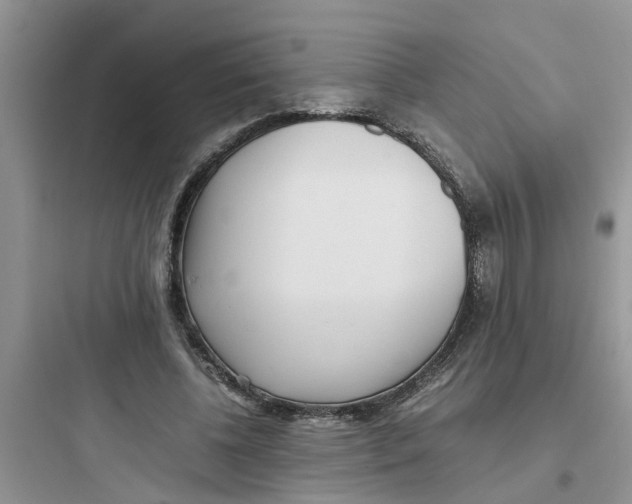 X0000097640540200803211834