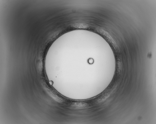 X0000097640541200803211834