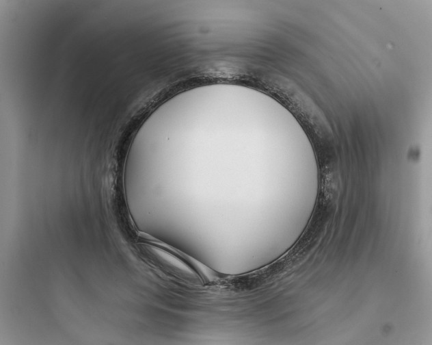 X0000097640544200803211835