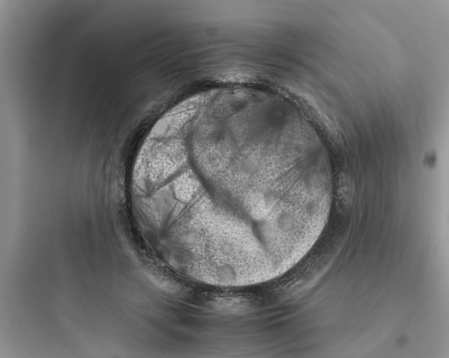 X0000097640547200803211835