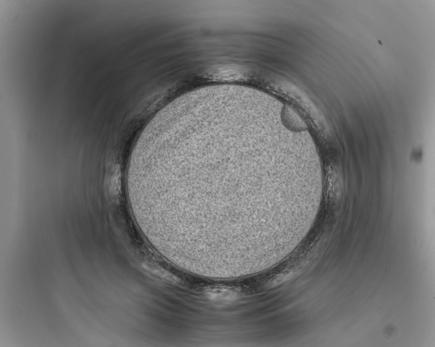 X0000097640549200803211835