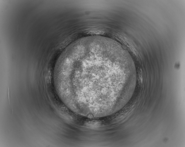 X0000097640551200803211835