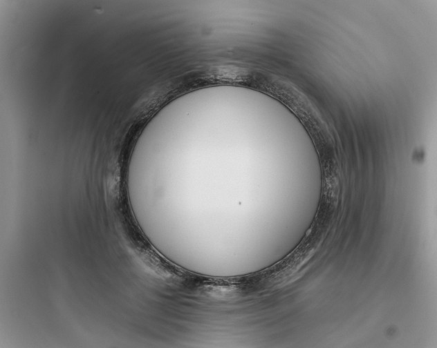 X0000097640552200803211835