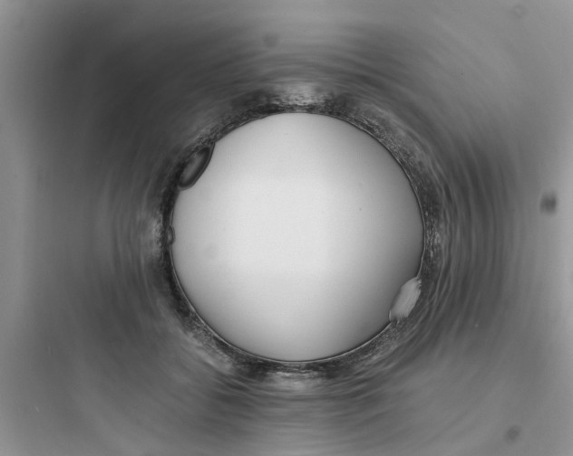 X0000097640556200803211835