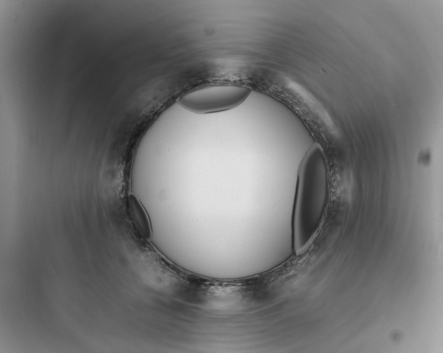 X0000097640560200803211835