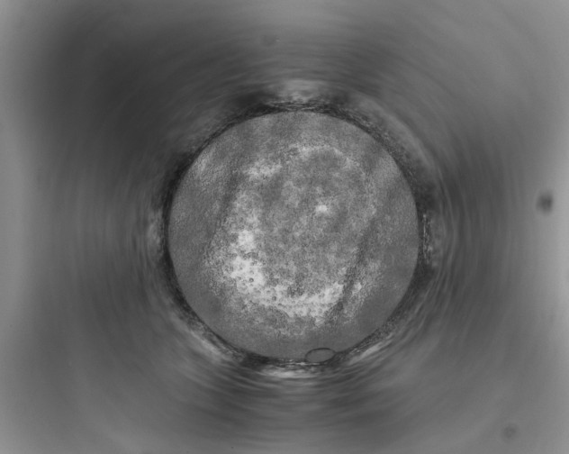 X0000097640563200803211835