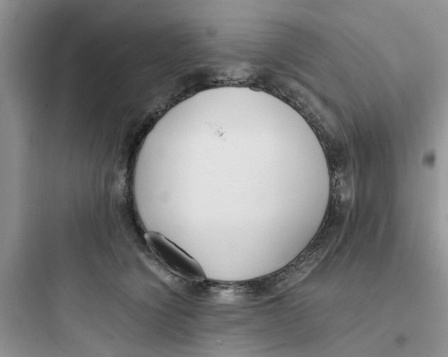 X0000097640564200803211835