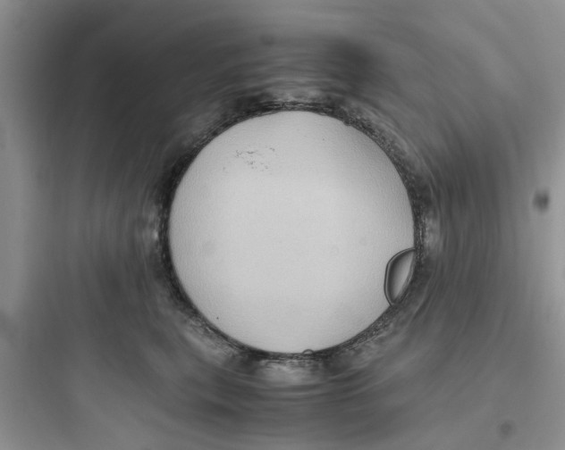 X0000097640567200803211835